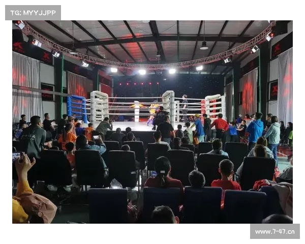 自由搏击最顶级赛事 自由搏击最高水平赛事